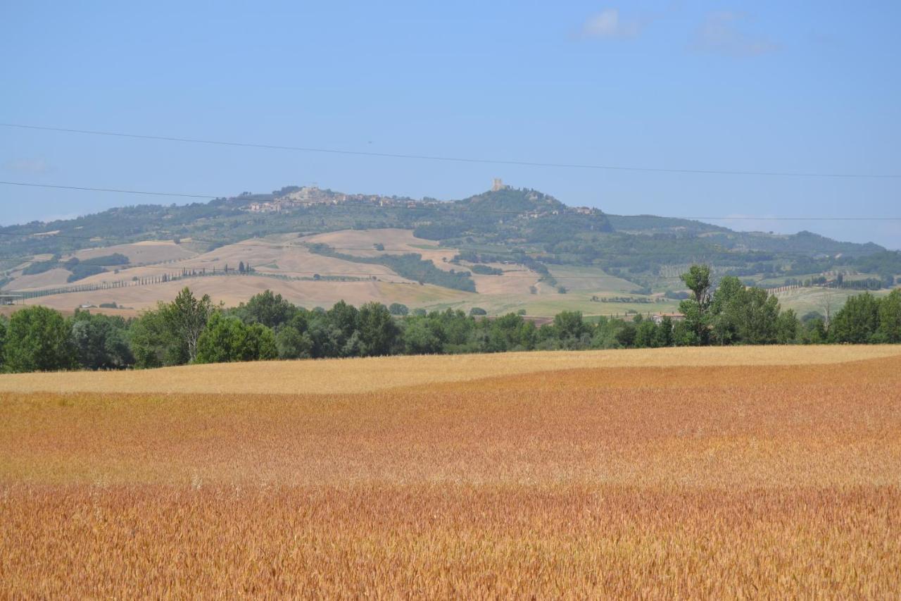 Valdorcia Belvedere B&B Pienza Extérieur photo