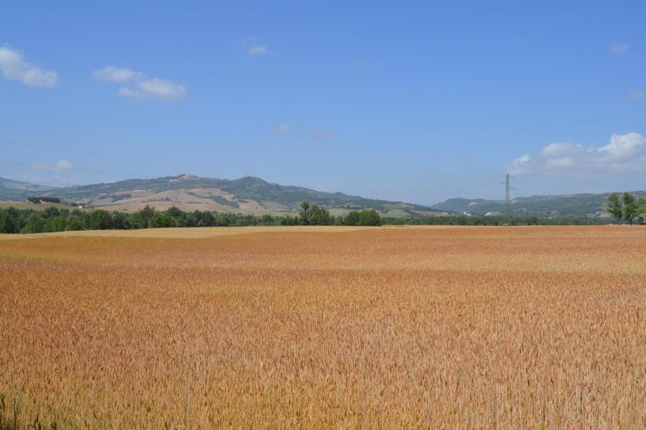 Valdorcia Belvedere B&B Pienza Extérieur photo